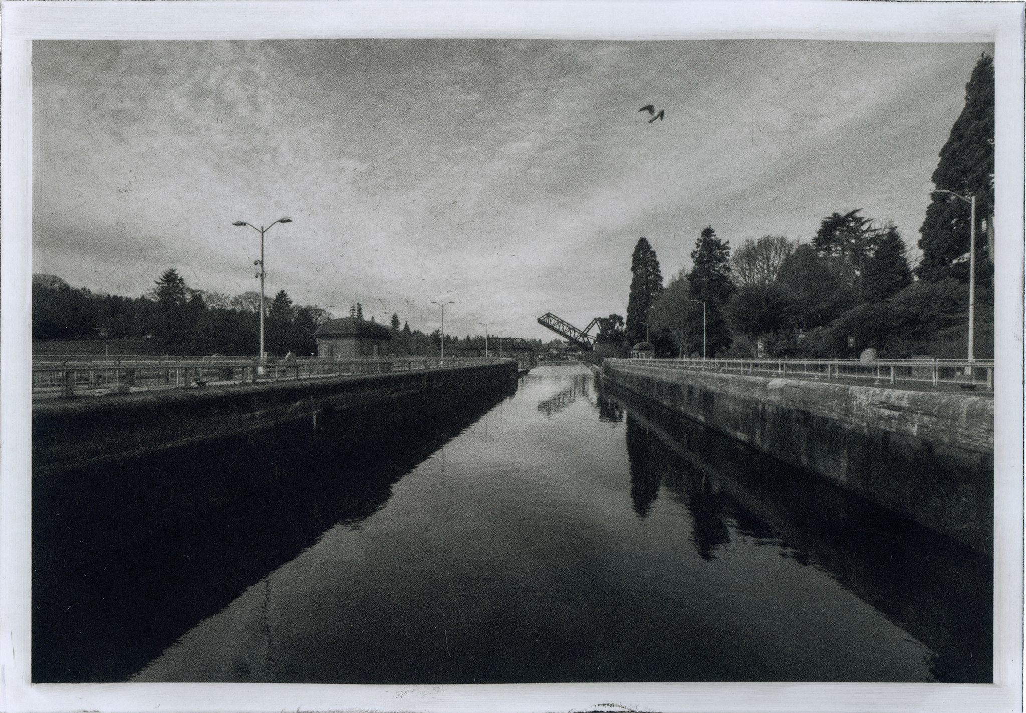 Ballard Locks - Photogravure print 2022
