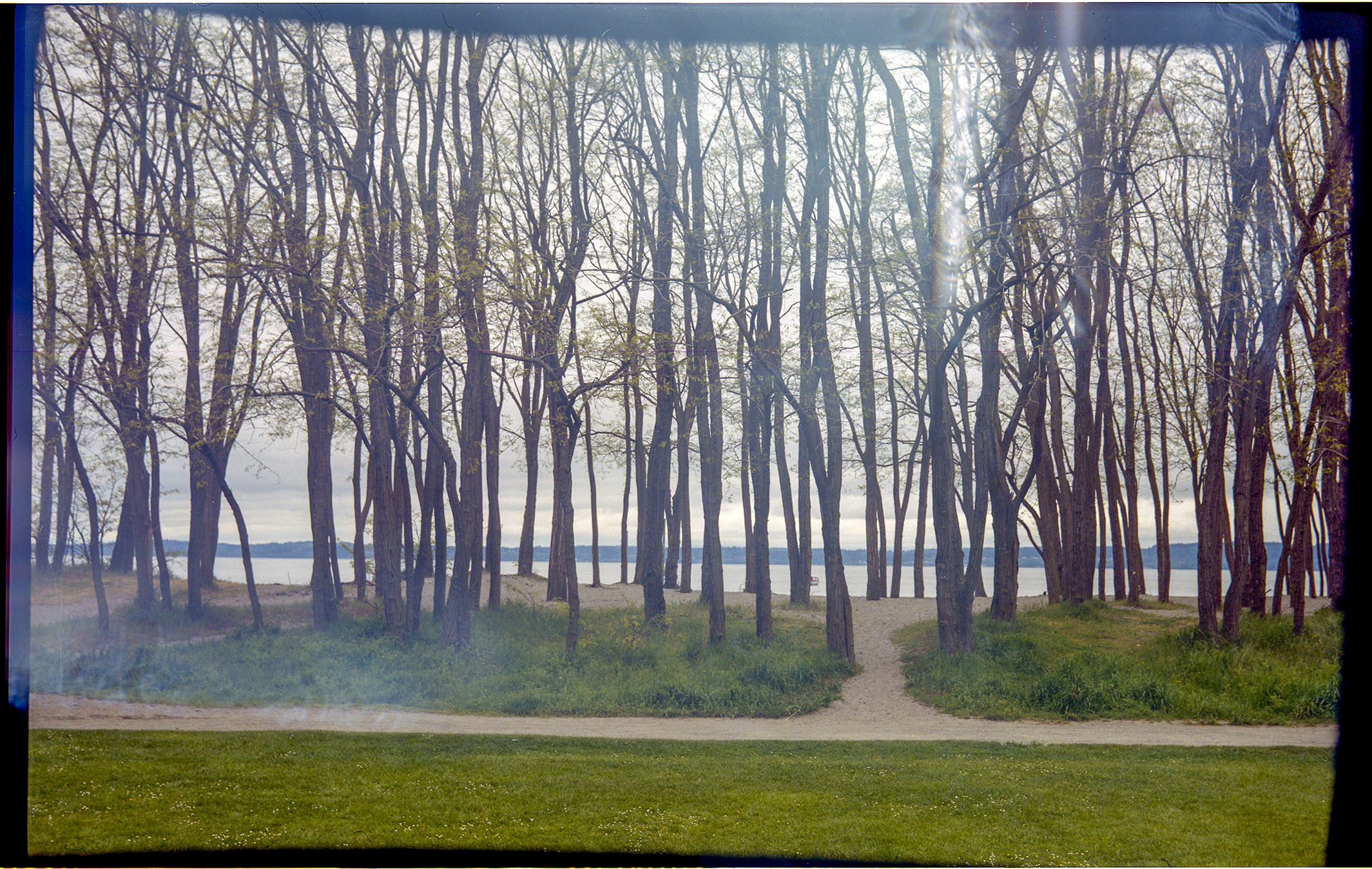 golden gardens, seattle, 2018