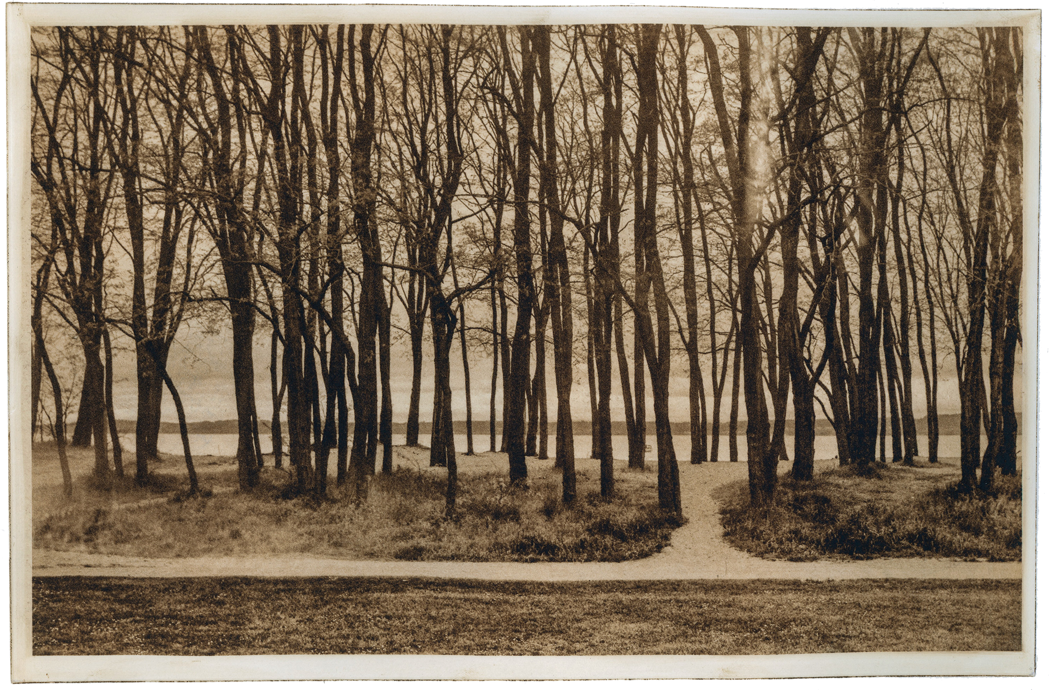 Golden Gardens Park - Photogravure print 2022